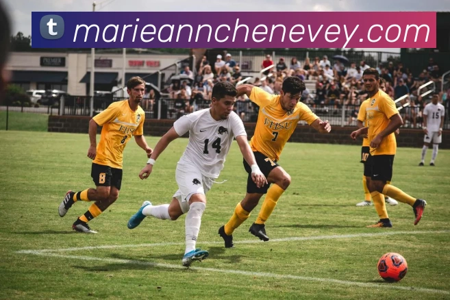 扫码下载 App